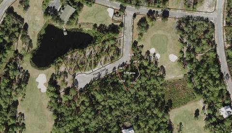 111 Plover Ct, Carrabelle, FL 32322 photo 1