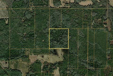Vacant SW Worthington Trail, Greenville, FL 32331