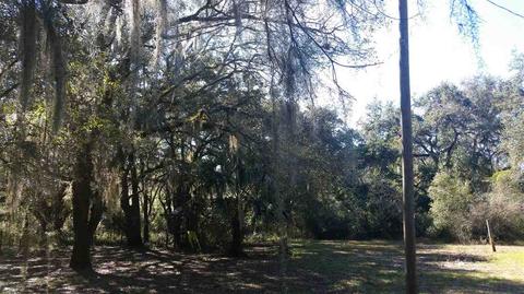 10114 Puckett Rd, Perry, FL 32348 photo 34