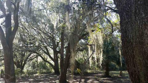 10114 Puckett Rd, Perry, FL 32348 photo 31