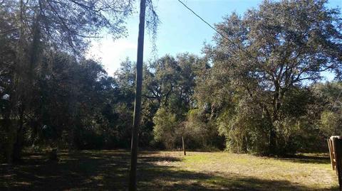 10114 Puckett Rd, Perry, FL 32348 photo 30