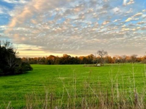 tbd Cherry Tree Rd, Monticello, FL 32344 photo 1