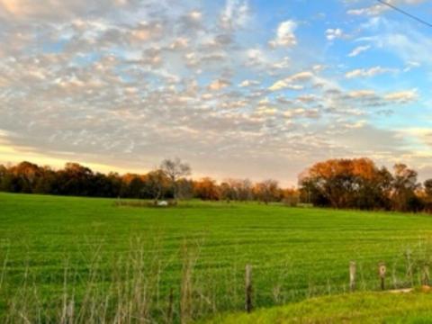 tbd Cherry Tree Rd, Monticello, FL 32344 photo 3