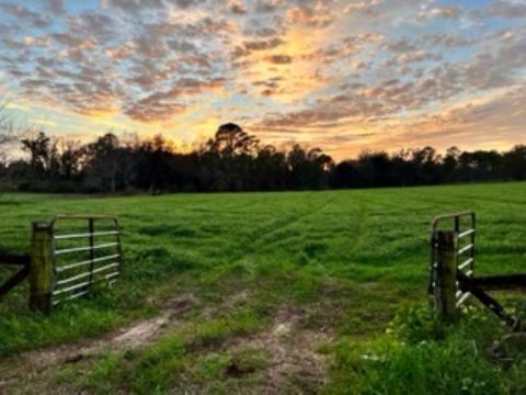 tbd Cherry Tree Rd, Monticello, FL 32344 photo 2