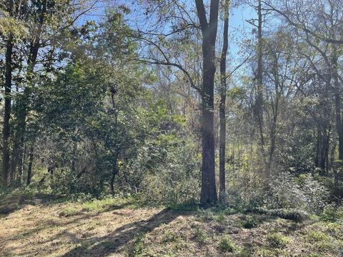 78 Augustine Rd, Quincy, FL 32351 photo 13