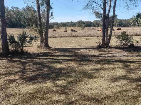559 N Ellison Rd, Perry, FL 32347 photo 4