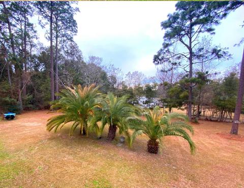 11619 Kelli Loop, Tallahassee, FL 32305 photo 21
