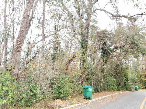 504 N Bellamy Dr #N/A, Quincy, FL 32351