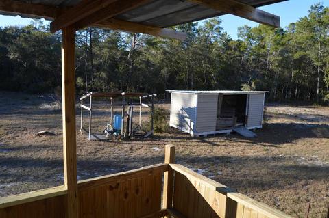 13419 Stricklands Bridge Rd, Perry, FL 32348 photo 32