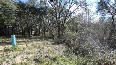 tbd Kimberly Ln, Monticello, FL 32344 photo 1