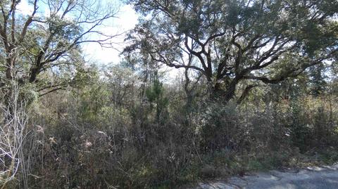 tbd Kimberly Ln, Monticello, FL 32344 photo 3
