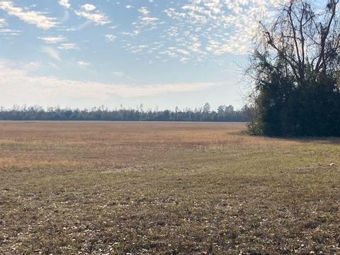 4080 SE Cr255, Lee, FL 32059 photo 1