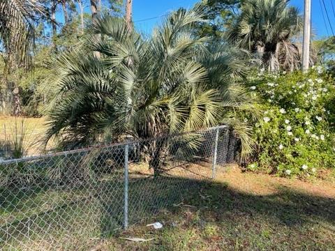 52 Division St, Panacea, FL 32346 photo 19