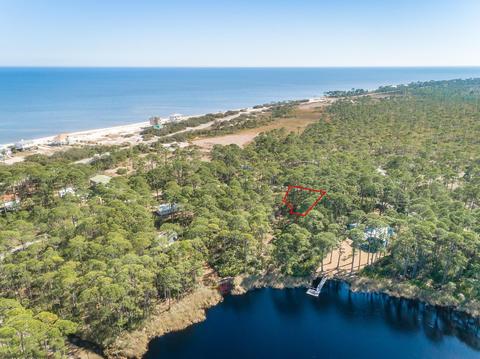 47 Lakeview Dr, Bald Point, FL 32346 photo 3
