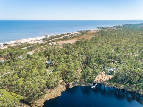 47 Lakeview Dr, Bald Point, FL 32346 photo 4