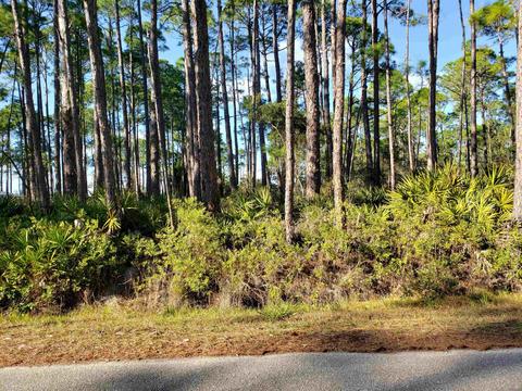 47 Lakeview Dr, Bald Point, FL 32346 photo 12