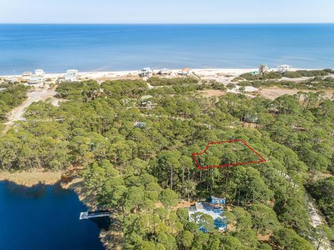 47 Lakeview Dr, Bald Point, FL 32346 photo 1