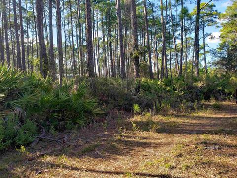 47 Lakeview Dr, Bald Point, FL 32346 photo 11