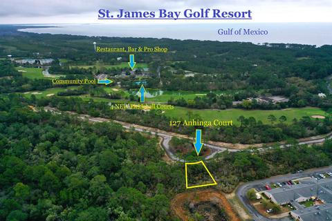 127 Anhinga Ct, Carrabelle, FL 32322 photo 1
