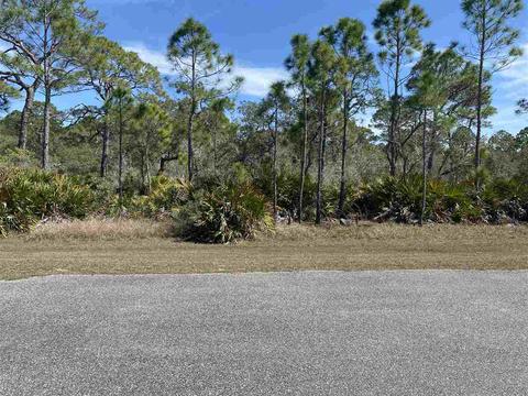 56 Warbird Trl, Ochlockonee Bay, FL 32346
