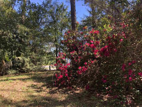 110 Idaho, Carrabelle, FL 32322 photo 1