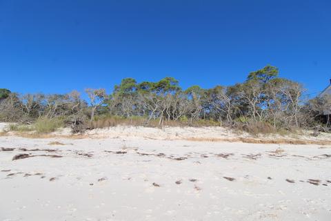 Nn Bald Point Road #-, Bald Point, FL 32346 photo 13