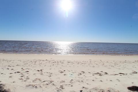 Nn Bald Point Road #-, Bald Point, FL 32346 photo 14
