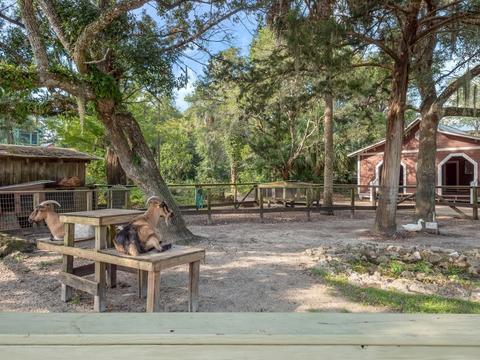 310 NE Lisette Ln, Steinhatchee, FL 32359 photo 30
