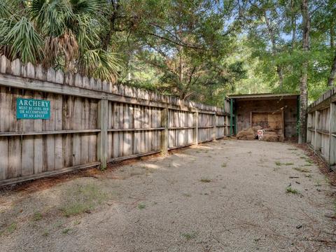 310 NE Lisette Ln, Steinhatchee, FL 32359 photo 33
