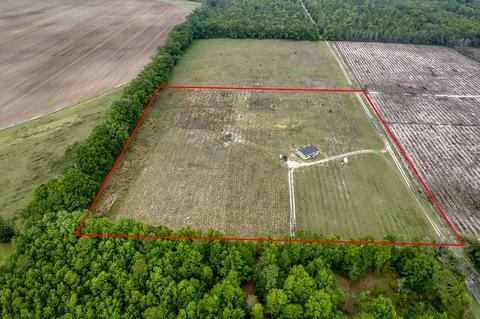 1175 NE Juniper Dr, Lee, FL 32059 photo 5