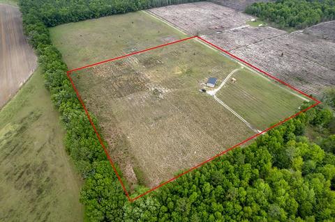 1175 NE Juniper Dr, Lee, FL 32059 photo 3