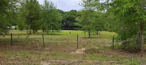 911 SE Thomas Way, Lee, FL 32059 photo 4