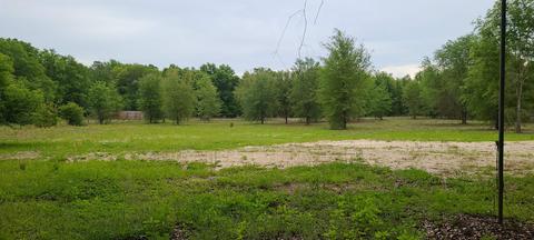 911 SE Thomas Way, Lee, FL 32059 photo 1
