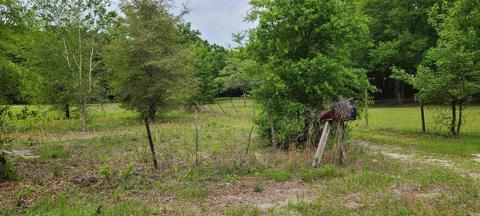 911 SE Thomas Way, Lee, FL 32059 photo 8