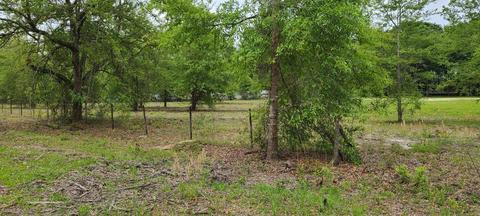 911 SE Thomas Way, Lee, FL 32059 photo 15