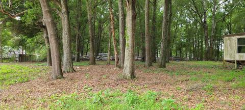 911 SE Thomas Way, Lee, FL 32059 photo 10