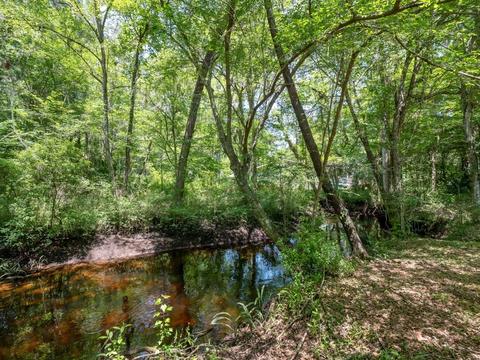 3272 Beasley Williams Rd, Perry, FL 32347 photo 3