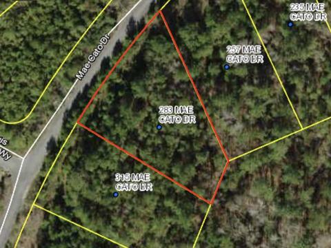 283 Mae Cato Dr, Midway, FL 32343 photo 1