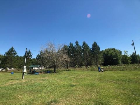 274 Stephens St, Perry, FL 32347 photo 5