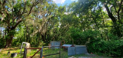 112 Crit Jones Dr, Perry, FL 32347 photo 5