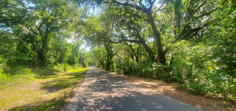 112 Crit Jones Dr, Perry, FL 32347 photo 2