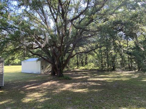 3842 Lonnie E Wilson Rd, Perry, FL 32347 photo 33