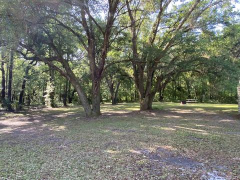 3842 Lonnie E Wilson Rd, Perry, FL 32347 photo 35