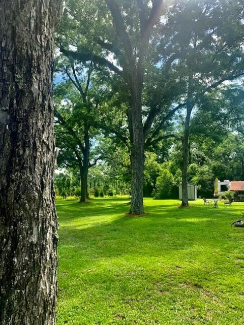 590 NE Rutherford Rd, Lee, FL 32059 photo 18