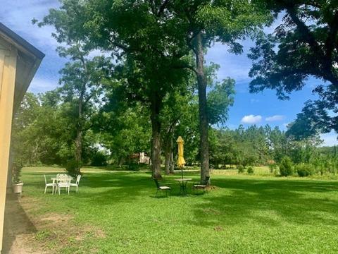 590 NE Rutherford Rd, Lee, FL 32059 photo 4
