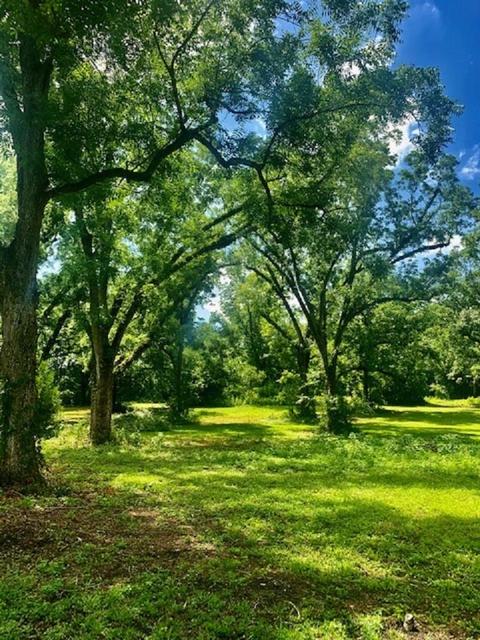 590 NE Rutherford Rd, Lee, FL 32059 photo 15