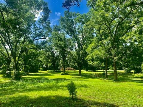 590 NE Rutherford Rd, Lee, FL 32059 photo 14
