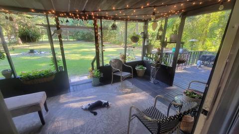 1179 Mack Sessions Rd, Perry, FL 32347 photo 10