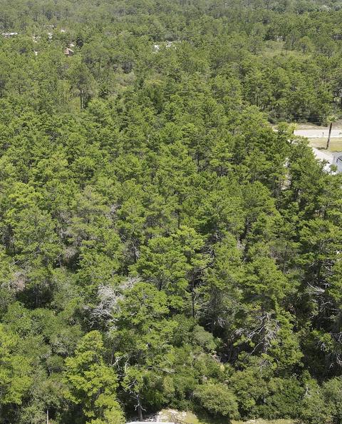 1866 Lighthouse Rd, Carrabelle, FL 32322 photo 4