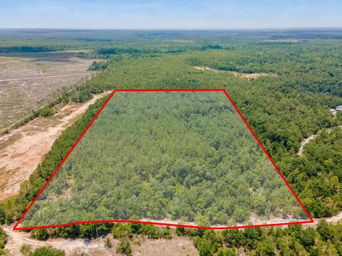 tbd Godwin Rd, Quincy, FL 32351 photo 8